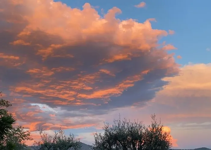 Le Grand Soleil * Nice